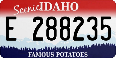 ID license plate E288235