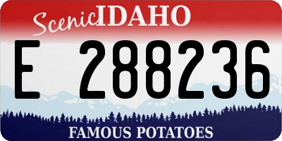 ID license plate E288236