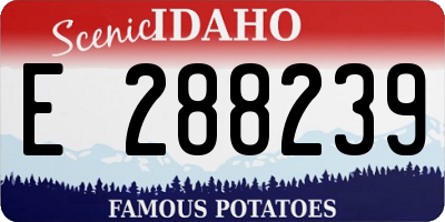 ID license plate E288239