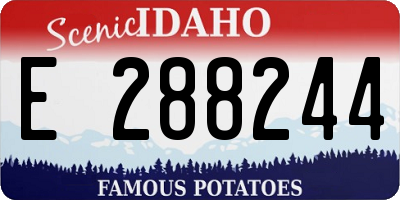 ID license plate E288244