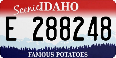 ID license plate E288248