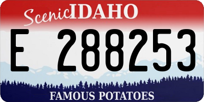 ID license plate E288253