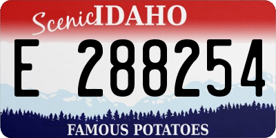 ID license plate E288254