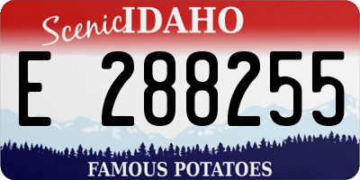ID license plate E288255