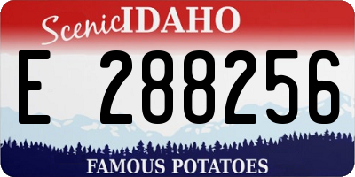 ID license plate E288256