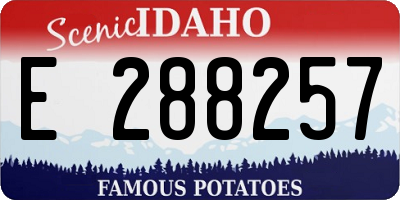 ID license plate E288257