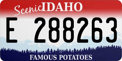 ID license plate E288263