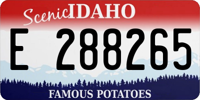 ID license plate E288265