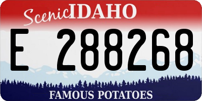 ID license plate E288268