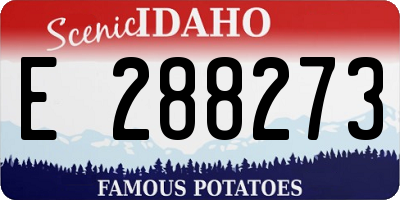 ID license plate E288273