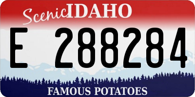 ID license plate E288284