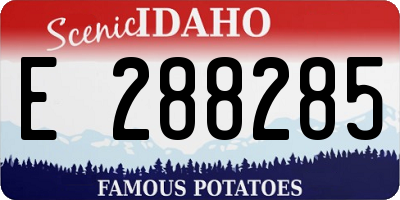 ID license plate E288285