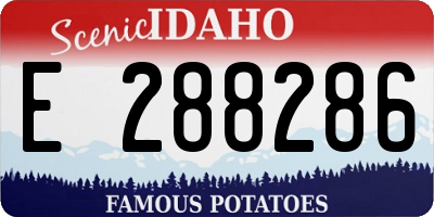 ID license plate E288286