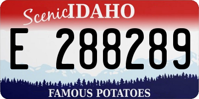ID license plate E288289