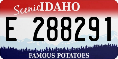 ID license plate E288291