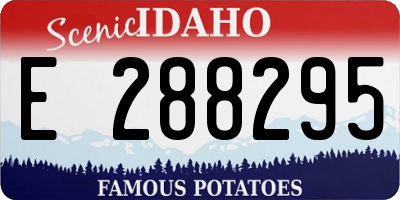 ID license plate E288295