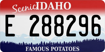 ID license plate E288296