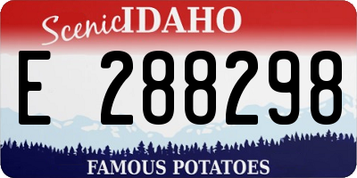 ID license plate E288298