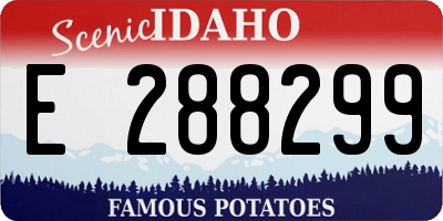 ID license plate E288299