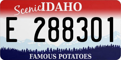 ID license plate E288301