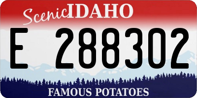 ID license plate E288302
