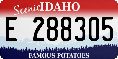 ID license plate E288305