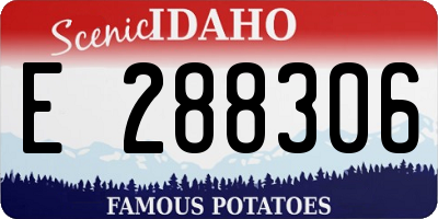 ID license plate E288306