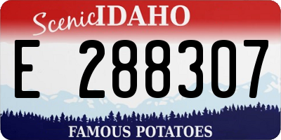 ID license plate E288307