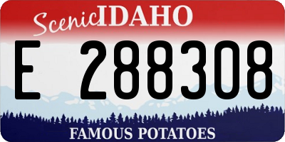 ID license plate E288308