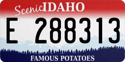 ID license plate E288313