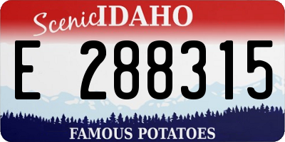 ID license plate E288315
