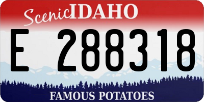 ID license plate E288318