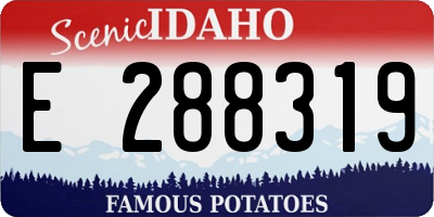 ID license plate E288319