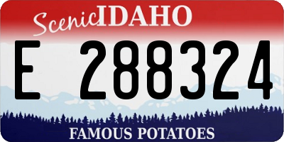 ID license plate E288324