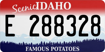 ID license plate E288328