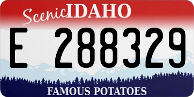 ID license plate E288329