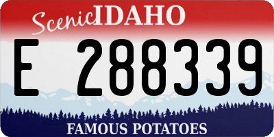 ID license plate E288339