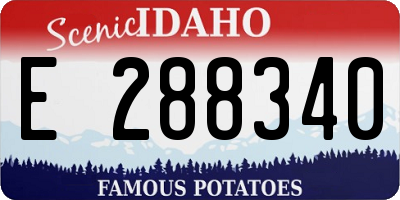 ID license plate E288340