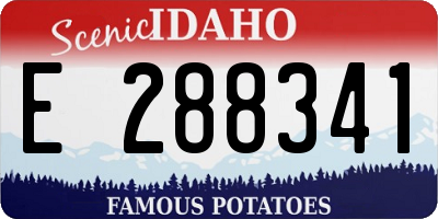 ID license plate E288341
