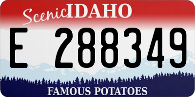 ID license plate E288349