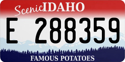 ID license plate E288359