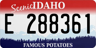 ID license plate E288361