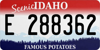 ID license plate E288362