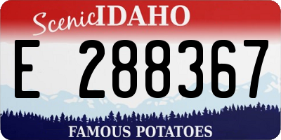 ID license plate E288367