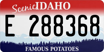 ID license plate E288368