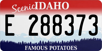 ID license plate E288373