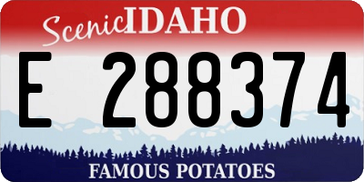 ID license plate E288374
