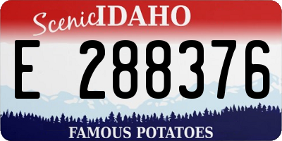 ID license plate E288376