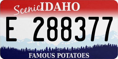 ID license plate E288377