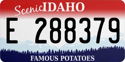 ID license plate E288379